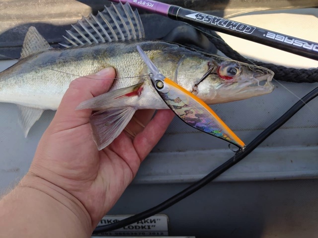 <a href=https://lovisnami.ru/category-v/akara-lures-scamp-2119?utm_source=vk-news&utm_campaign=vk-news-wall>Воблеры Akara Scamp - РыбачОК</a>