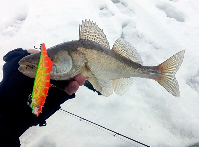 Зима близко!