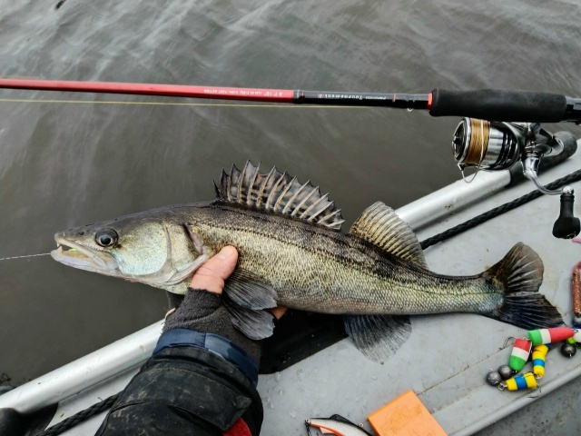 Это была Славная Охота...... 