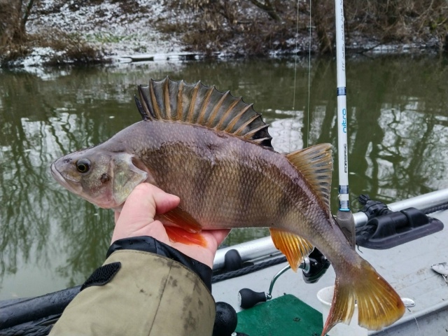 Прошло два дня мощнейшей, неистовой зимы! Две ночи с лютыми морозами — по 10 градусов))) И снова наступила оттепель. Полный штиль и +1 градус. Отличная погода для ловли на спиннинг. 