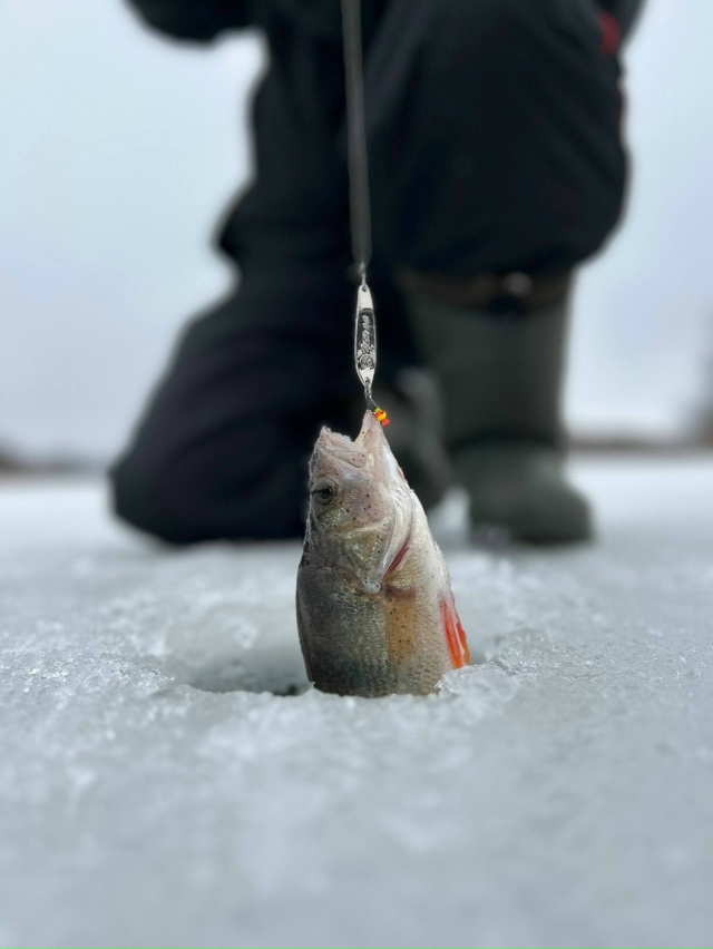 Привет всем!