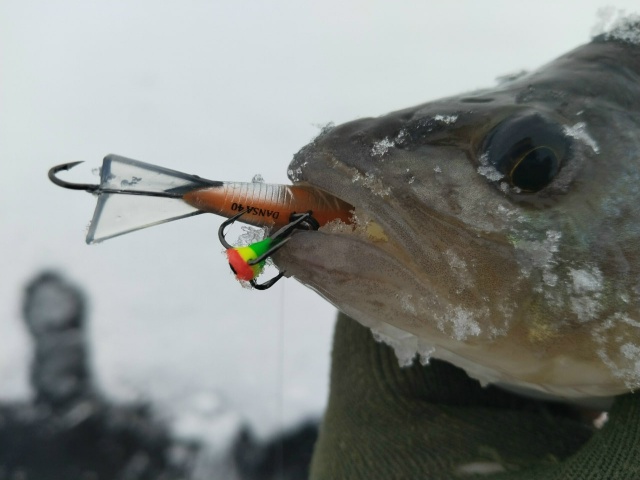 Балансиры USAMI 