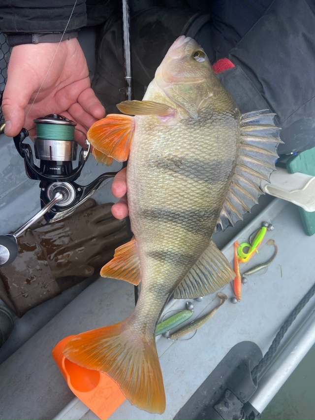 Речки вскрываются. Солнце греет всё сильнее и сильнее. Рыба тоже начинает просыпаться. Щуки уже даже без пиявок.