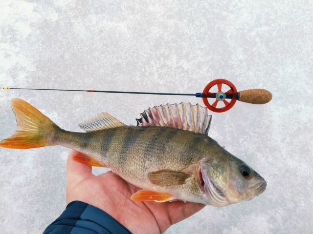 Сезон ловли в дырке закрыт! 