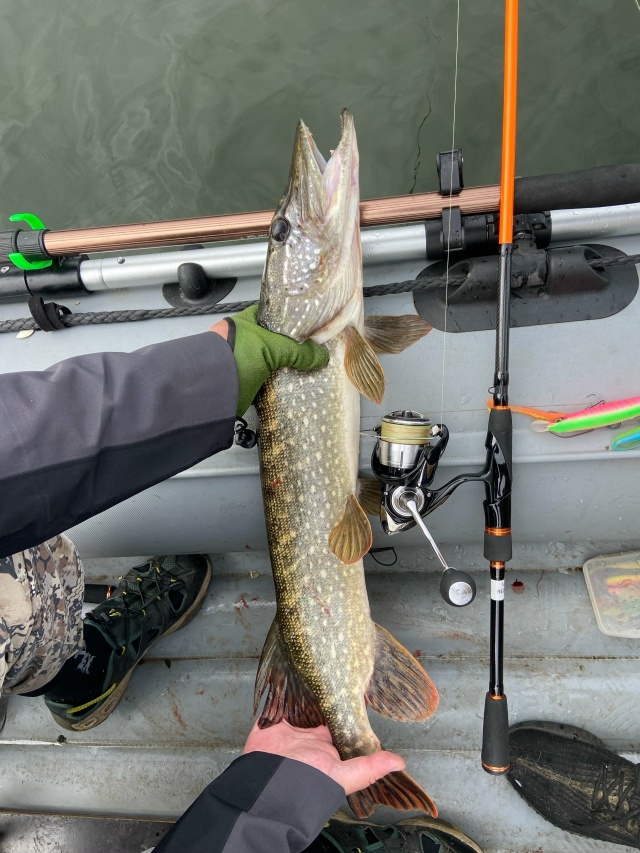 Катушки Daiwa Lexa