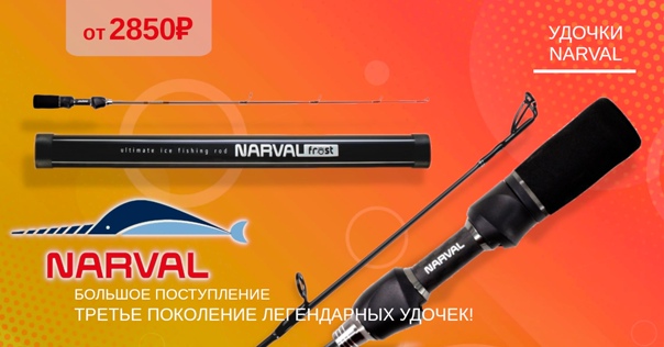Большое поступление зимних удочек и хлыстов от NARVAL! 