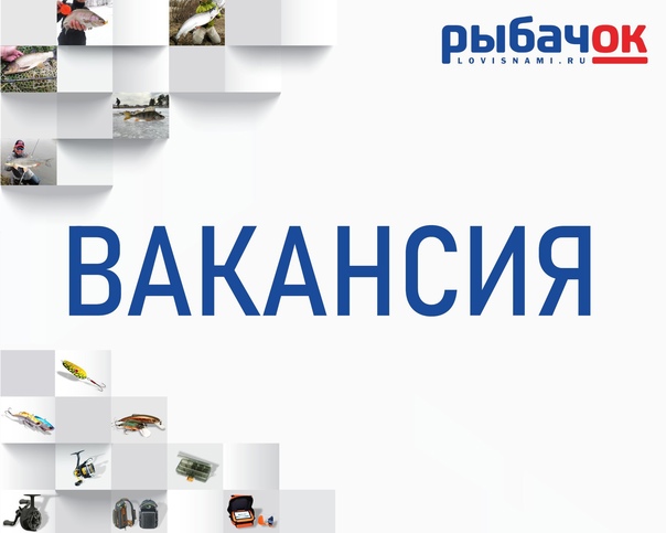 Сеть рыболовных магазинов «РыбачОК» приглашает на работу в Санкт-Петербурге. 