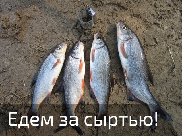 Друзья!  🔵🔵🔴 