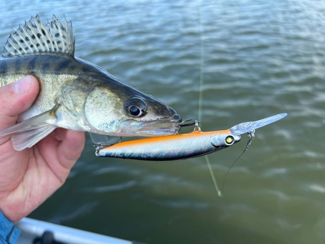 <a href=https://lovisnami.ru/category-v/akara-lures-sima-2121?utm_source=vk-news&utm_campaign=vk-news-wall>Воблеры Akara Sima - РыбачОК</a> 