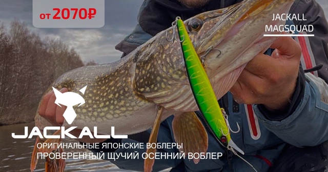 Jackall MagSquad - один из лучших воблеров для осенней щуки!🔵🔵🔴 