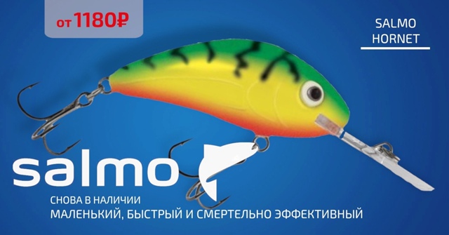 Оригинальные воблеры SALMO!🔵🔵🔴 