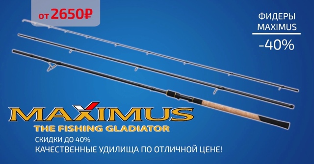 Скидки до 40% на часть фидеров от MAXIMUS! 🔵🔵🔴 