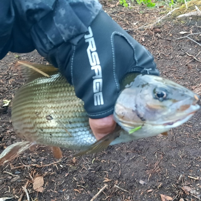 Перчатки ANGLER. 
