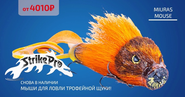 Miuras Mouse - мыши для ловли осенней трофейной щуки снова в наличии!!! 🔵🔵🔴 