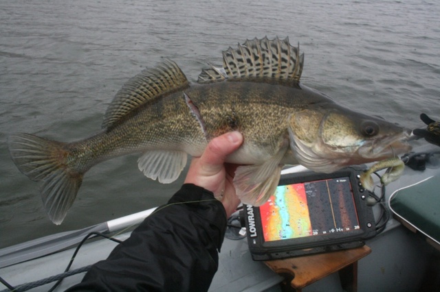 Подвох промахнулся?  