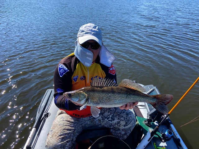 Конец сентября выдался очень тёплым, я бы даже сказал местами жарким. Судак как всегда был хитёр и ссыклив)) Но после обеда, в пиковый прогрев воды, всё случались короткие выходы. В эти минуты судаки дарили те самые, злючие поклёвки, за которые мы так их 