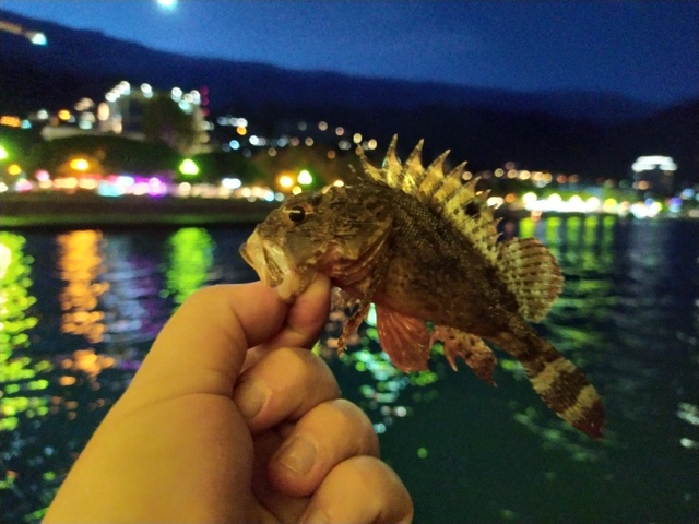 Всем доброй ночи.  