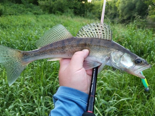 Скидка 15% по промо коду 777 на все спиннинги Forsage Tournament-S  