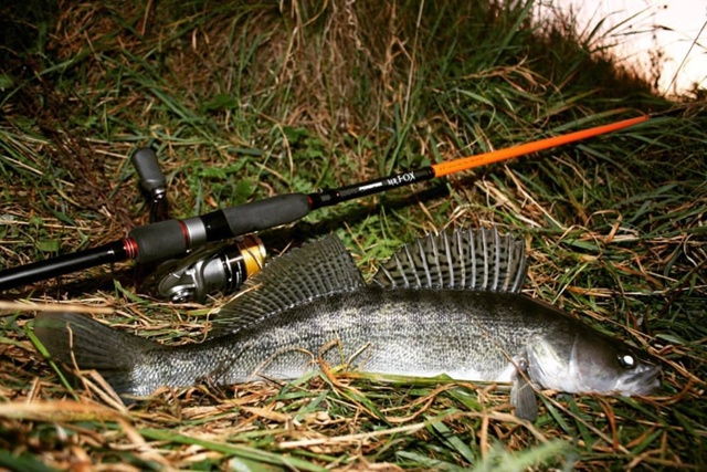 Скидка 15% по промо коду 777 на все спиннинги Forsage Mr. Fox  