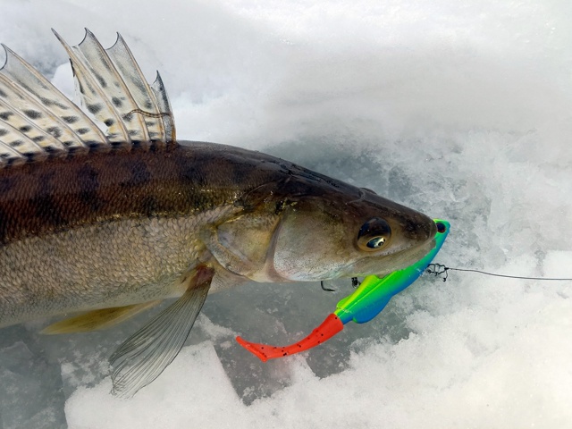 Зима близко! 