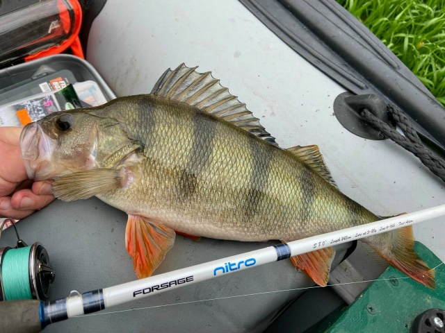 Спиннинги Forsage Nitro со скидкой 15% по промо коду 777 