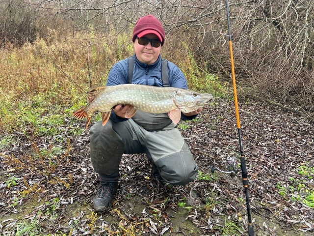 Словил парочку джиговых русловых щук. 1.5 и 3 кг  