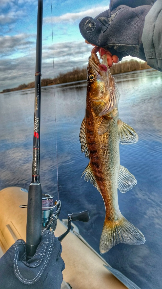 На все Спиннинги Zetrix  - 20% 