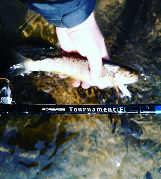 Спиннинги Forsage Tournament-F со скидкой 30% с 24.11 по 01.12 