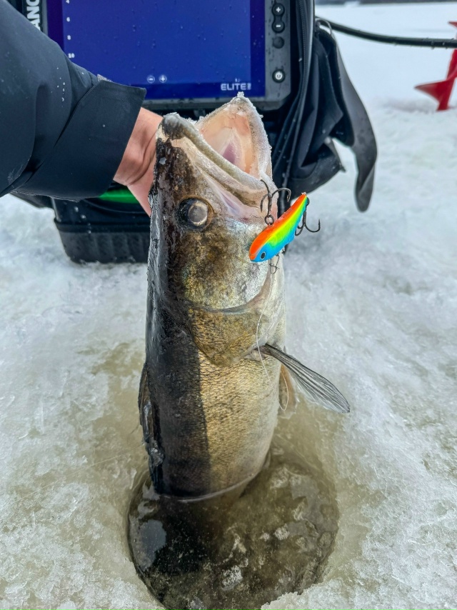 🔥 У нас в наличии — большой ассортимент вибов Narval ! 🔥 