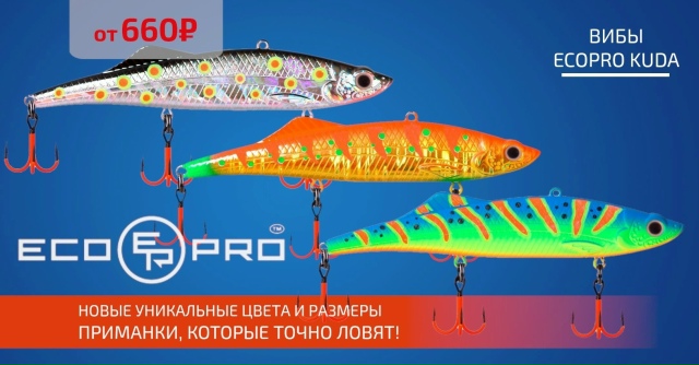 Новые цвета вибов ECOPRO KUDA уже в наличии!🔵🔵🔴 