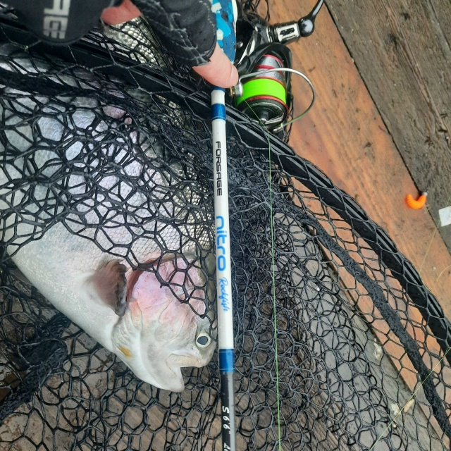 Спиннинги Forsage Nitro Rock Fish: 