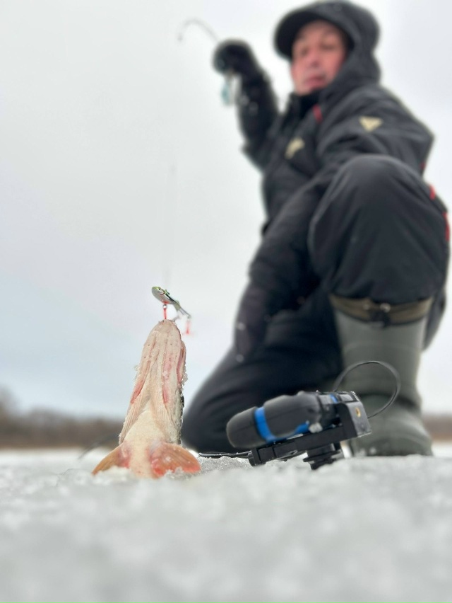 Привет всем! 