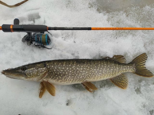 Спиннинги Forsage Mr. Fox со скидкой 20% по промокоду 777 