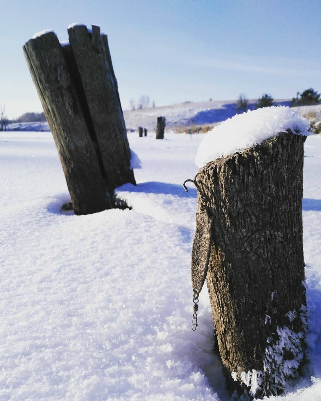 Вот это трофей!!!