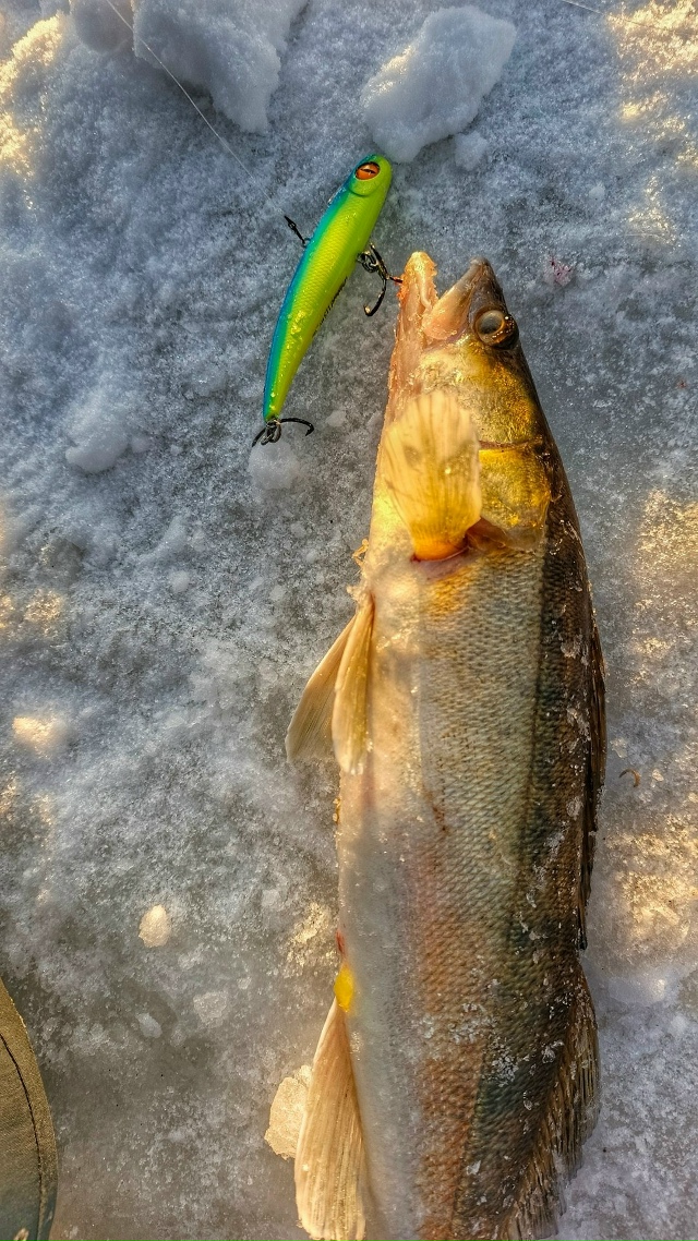 Ну какая рыбалка без Frappa? 