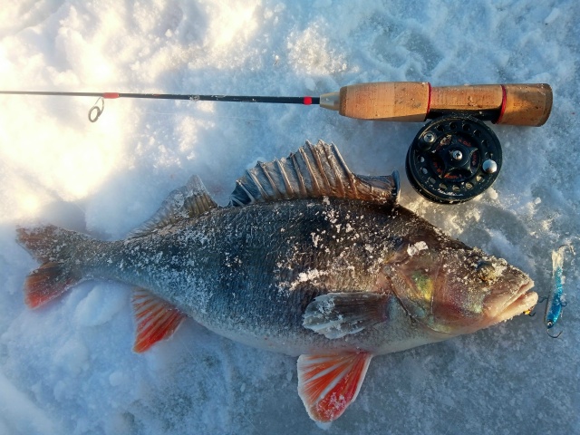 Зимние удочки Zetrix со скидкой 5% по промокоду 777 