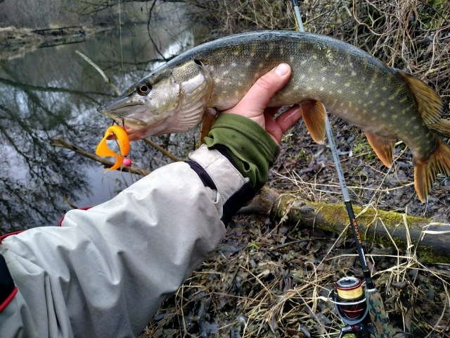 Спиннинги Forsage Military со скидкой 20% по промокоду 777 