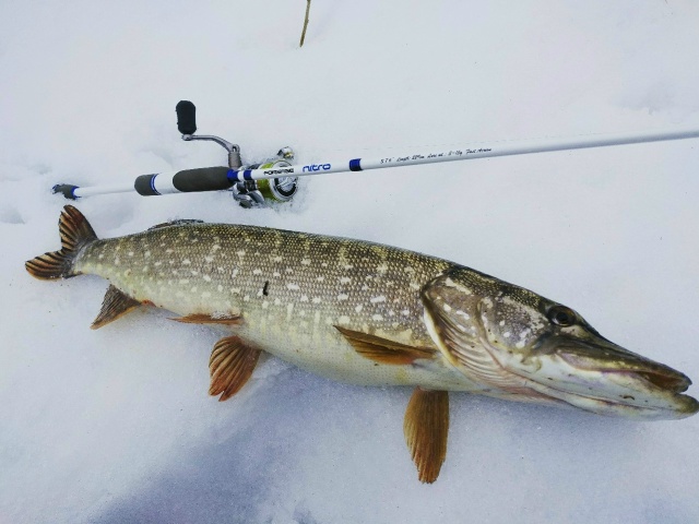 Спиннинги Forsage Nitro со скидкой 20% по промокоду 777 