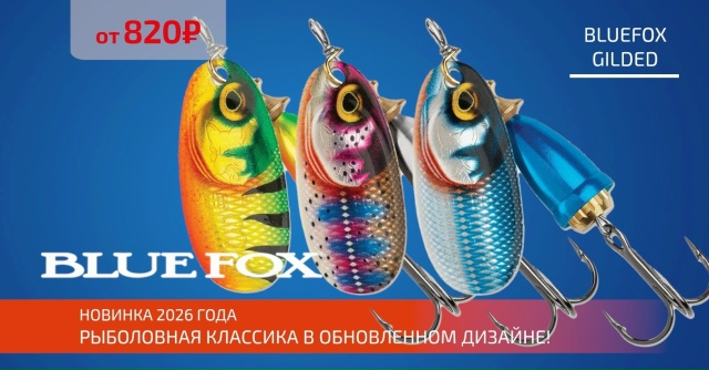 Новинки 2026 года от BLUEFOX уже у нас! 🔵🔵🔴 