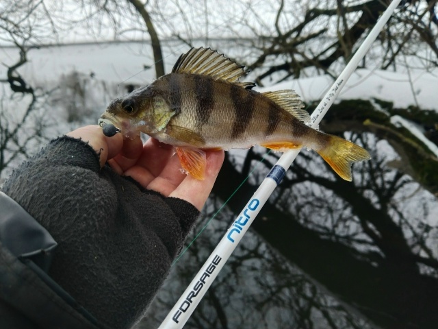 Микроджиговая прогулка.