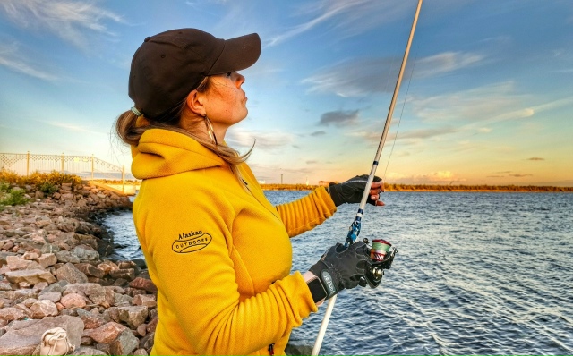 Лучшее соотношение цена - качество 