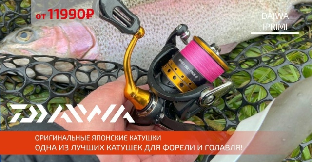 Хотите идеальную катушку для ловли прудовой форели? 