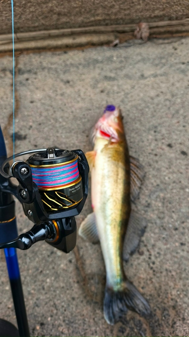 Есть много разных катушек , но все надо проверять на прочность ! 