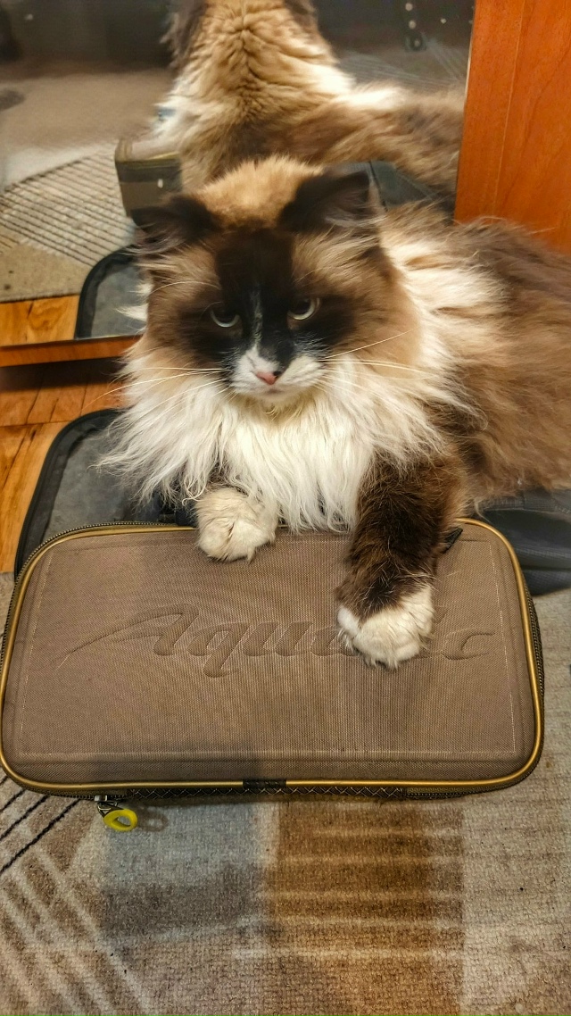 Даже он знает, где хранить катушки! 