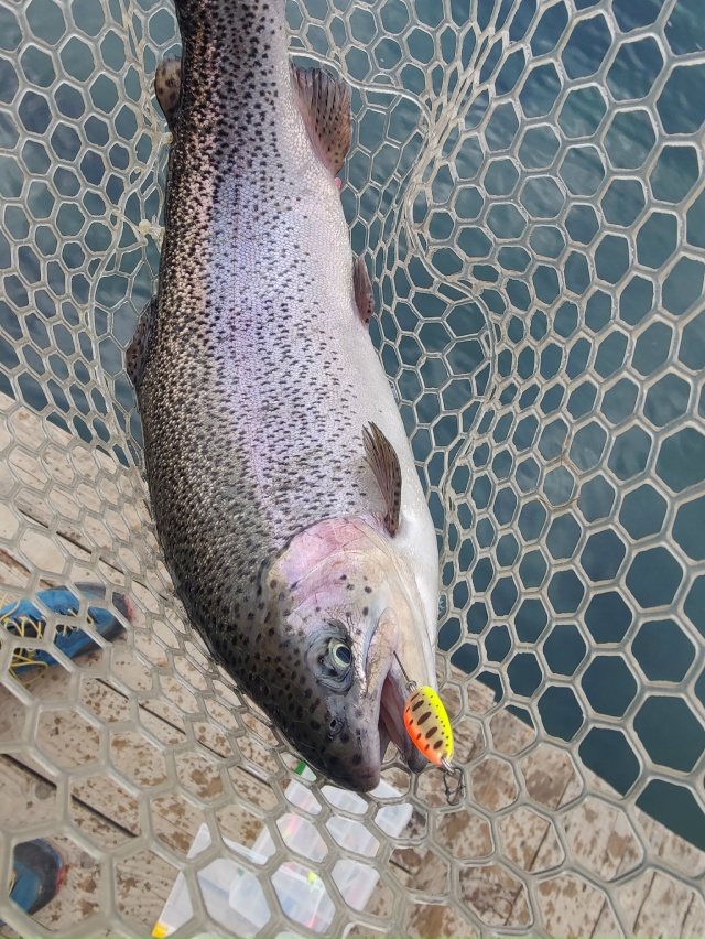 Блесны Smith Pure: <a href=https://lovisnami.ru/category-v/blesny-smith-pure-1576?utm_source=vk-news&utm_medium=post&utm_campaign=vk-news-wall>Блесны Smith Pure - РыбачОК</a>  