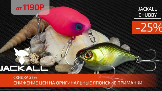 Снизили цены на JACKALL CHUBBY!