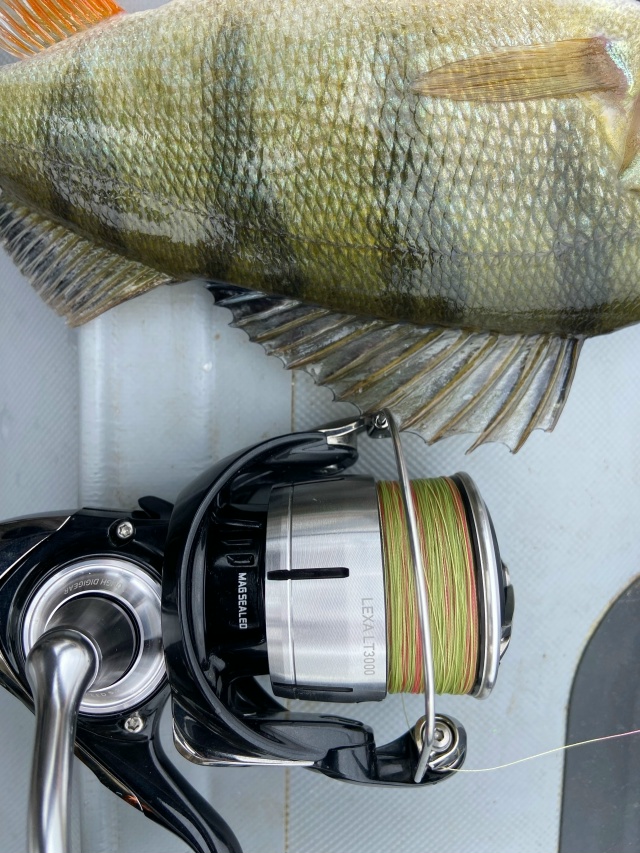 Катушки Daiwa Lexa