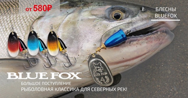 Все готовятся к Кольскому! 🔵🔵🔴 