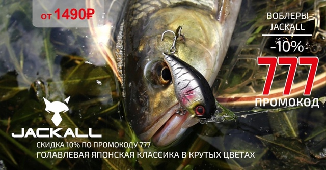 Воблеры Jackall  - новый голавлиный фаворит!🔵🔵🔴 