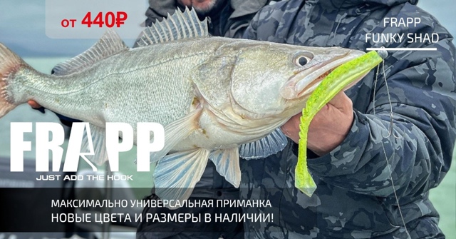 Джиговый сезон официально  стартовал! Судак, щука, окунь... 🔵🔵🔴 